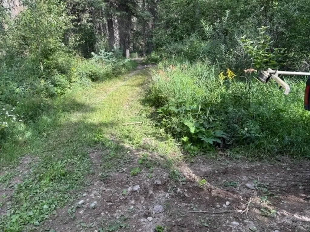 Nhn Old Mill Road Bigfork MT 59911
