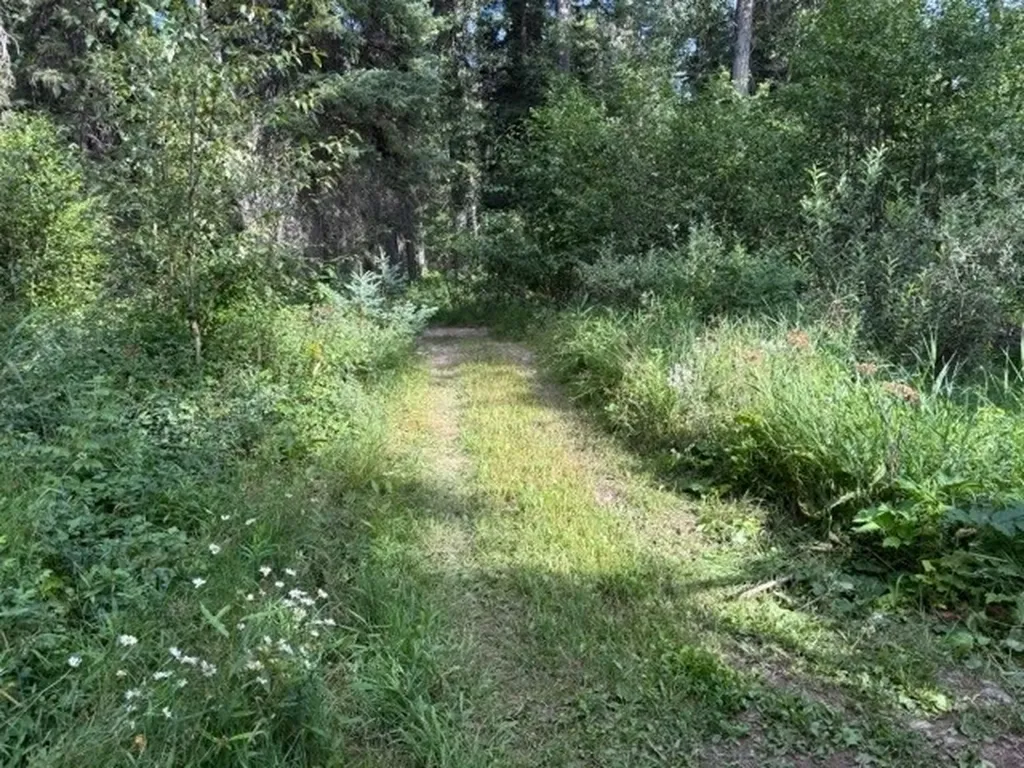 Nhn Old Mill Road Bigfork MT 59911