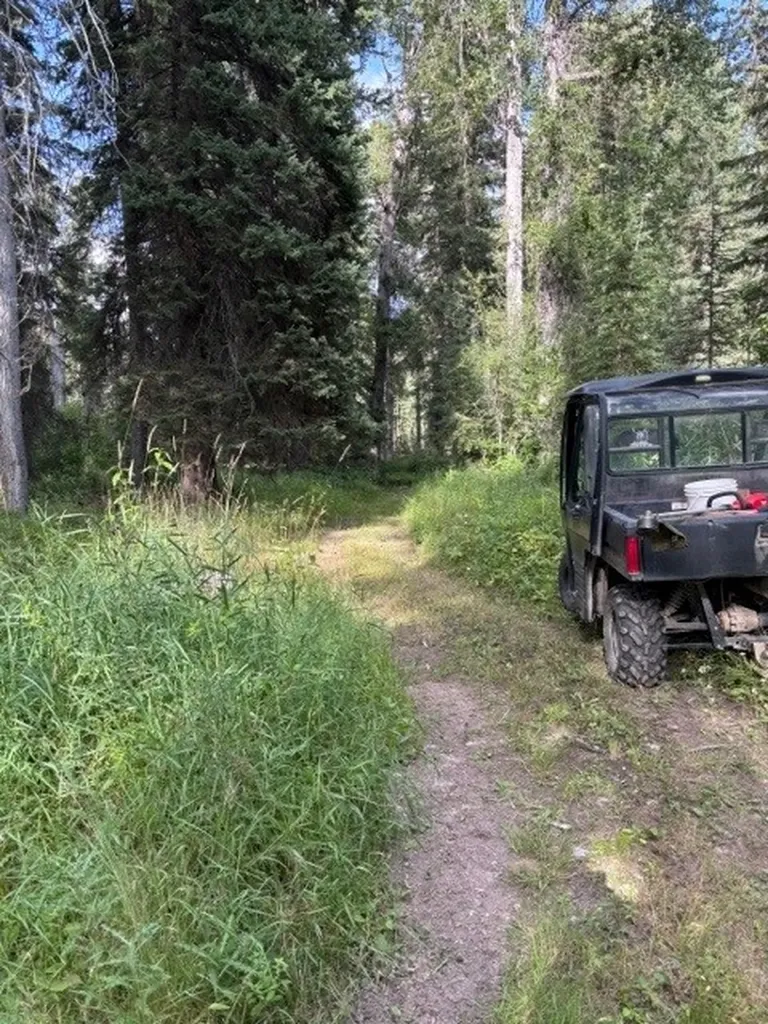 Nhn Old Mill Road Bigfork MT 59911
