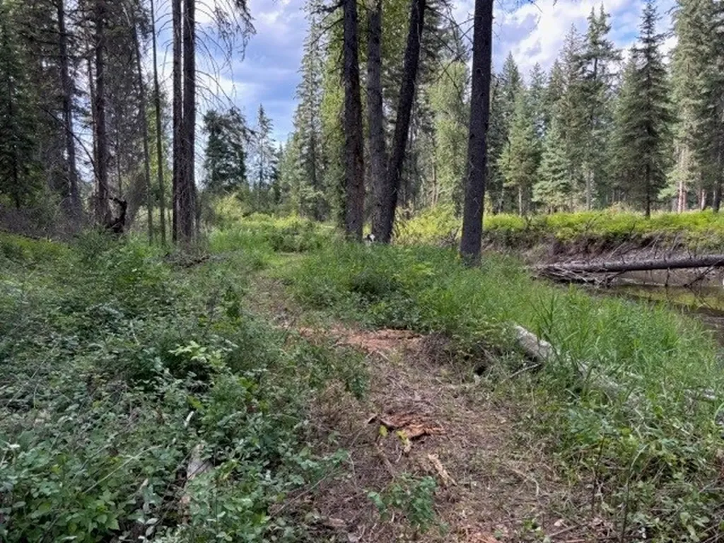 Nhn Old Mill Road Bigfork MT 59911