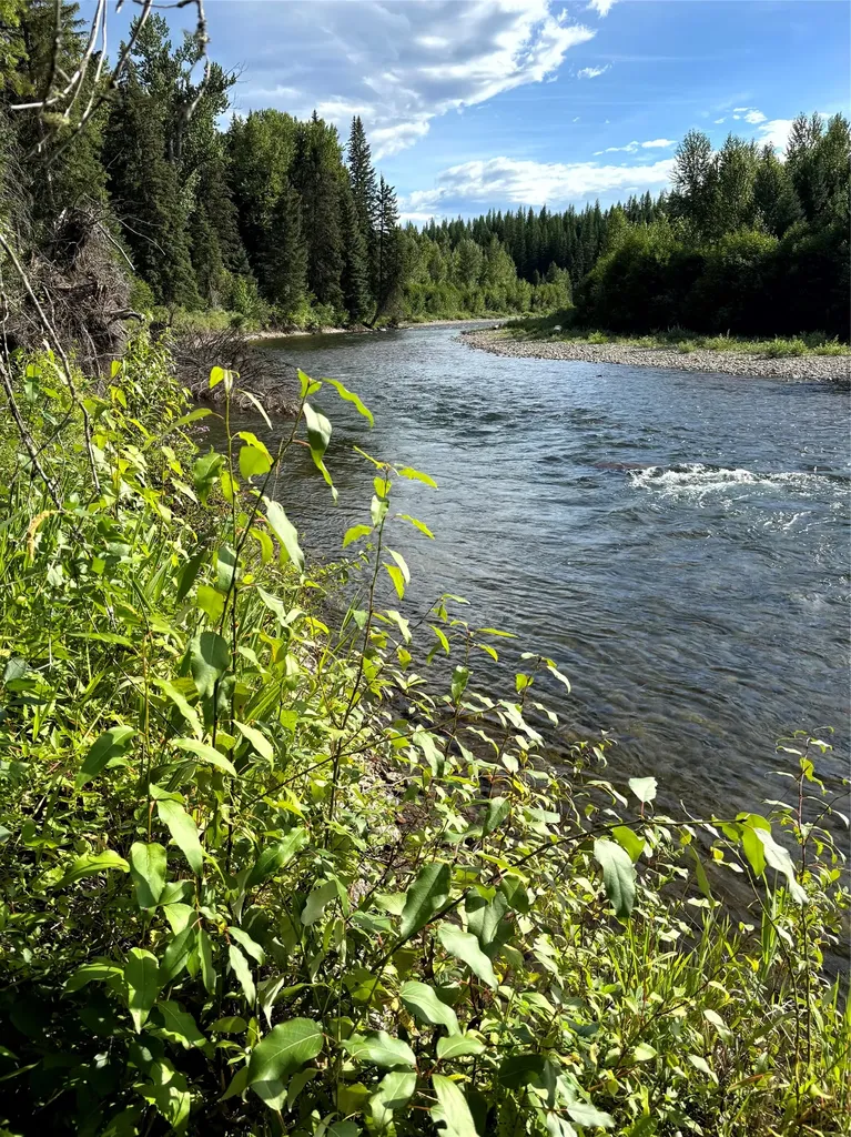 Nhn Old Mill Road Bigfork MT 59911