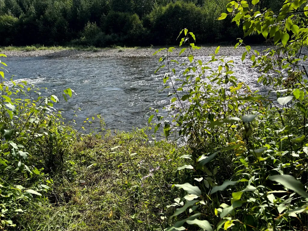 Nhn Old Mill Road Bigfork MT 59911