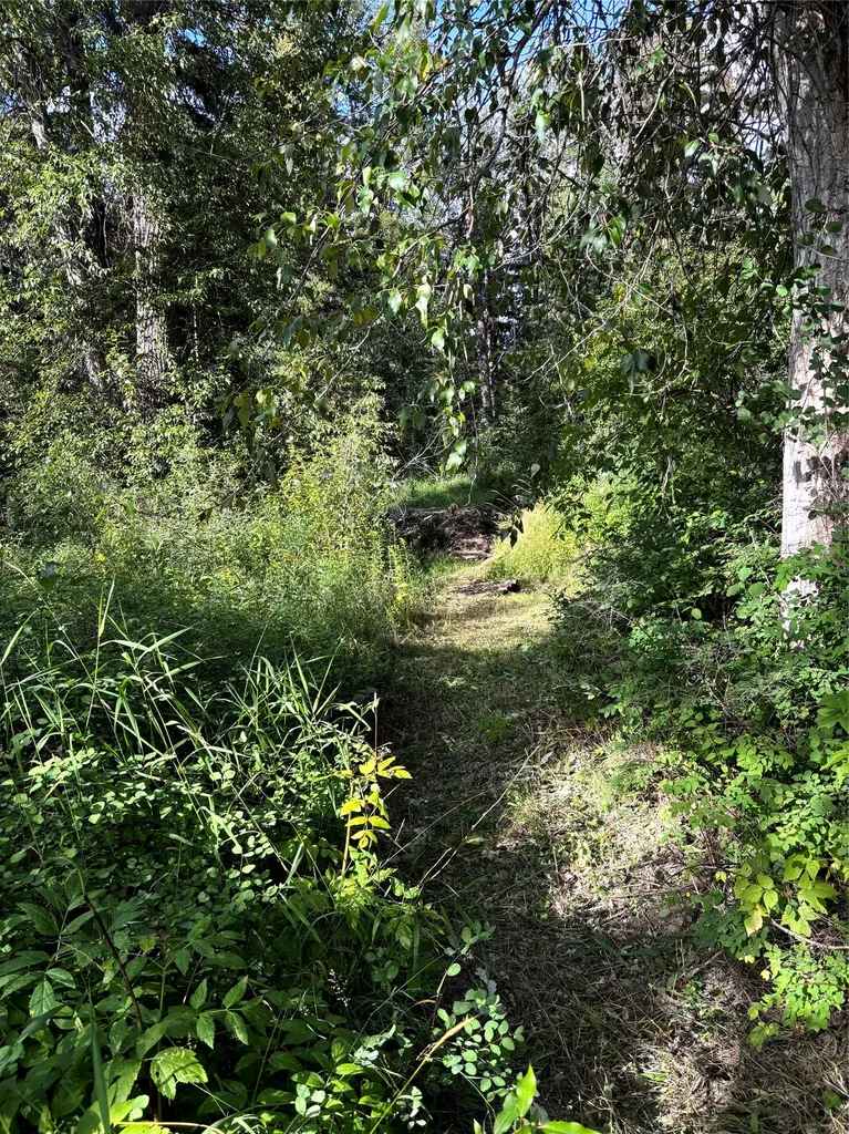 Nhn Old Mill Road Bigfork MT 59911