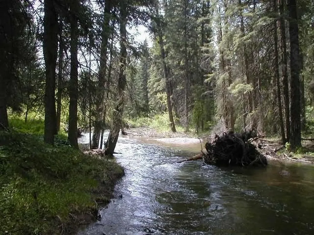 Nhn Old Mill Road Bigfork MT 59911