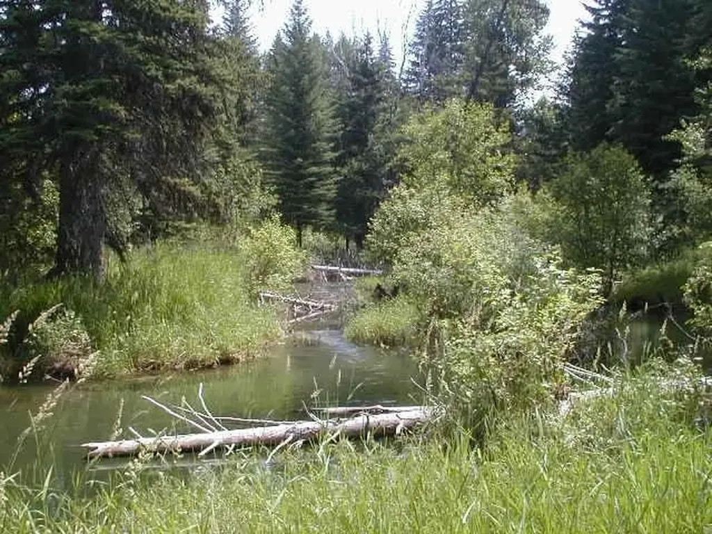 Nhn Old Mill Road Bigfork MT 59911