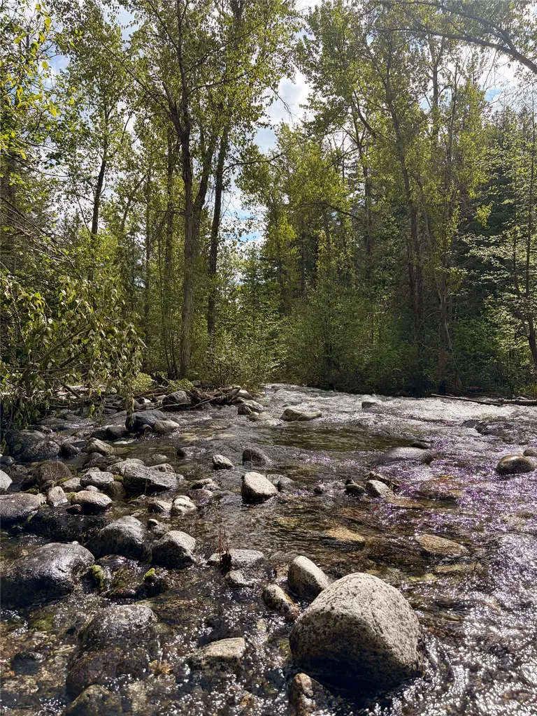 688 Cutthroat Trail Victor MT 59875