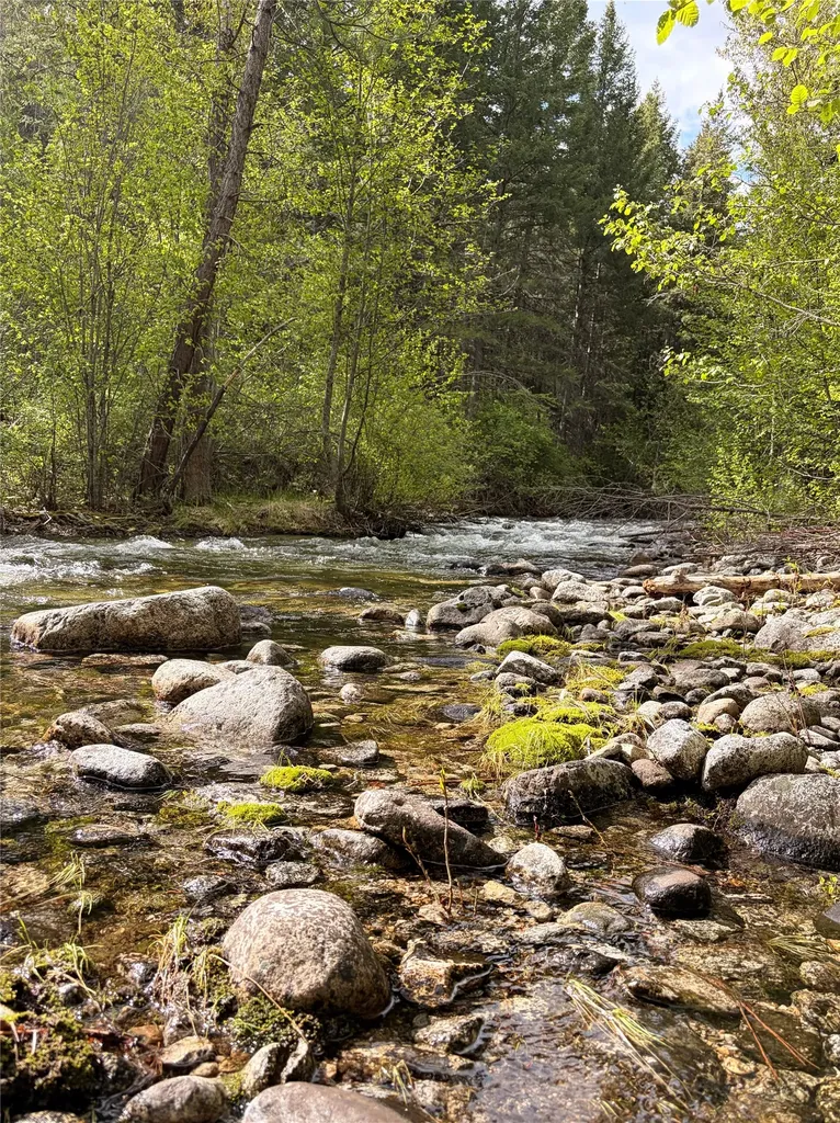 688 Cutthroat Trail Victor MT 59875