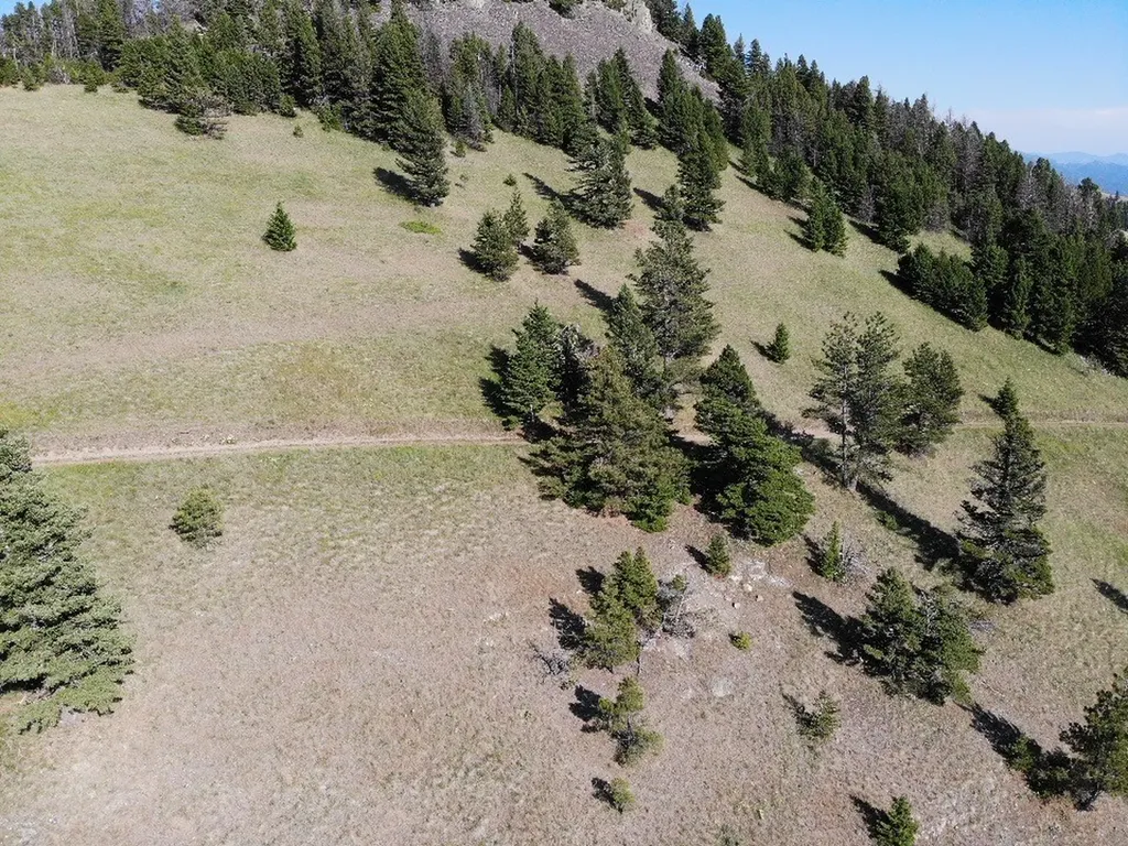 Tbd Outer Loop Road Cascade MT 59421