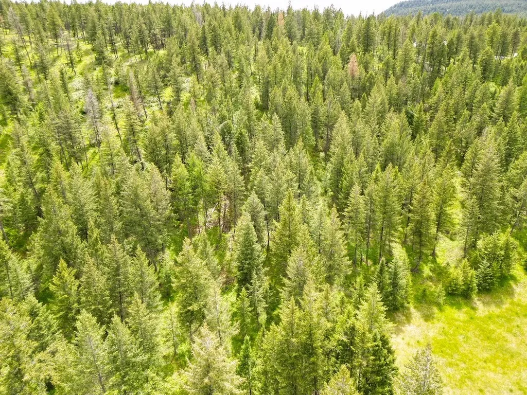 Nhn Black Lake Road Rexford MT 59930