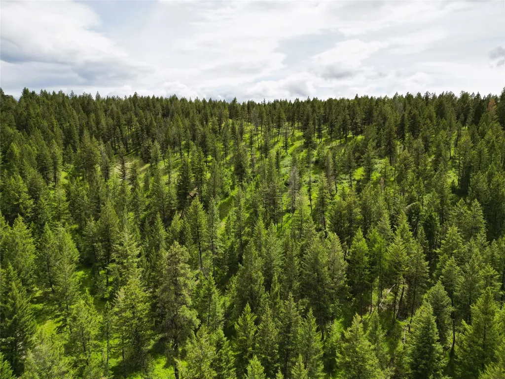 Nhn Black Lake Road Rexford MT 59930