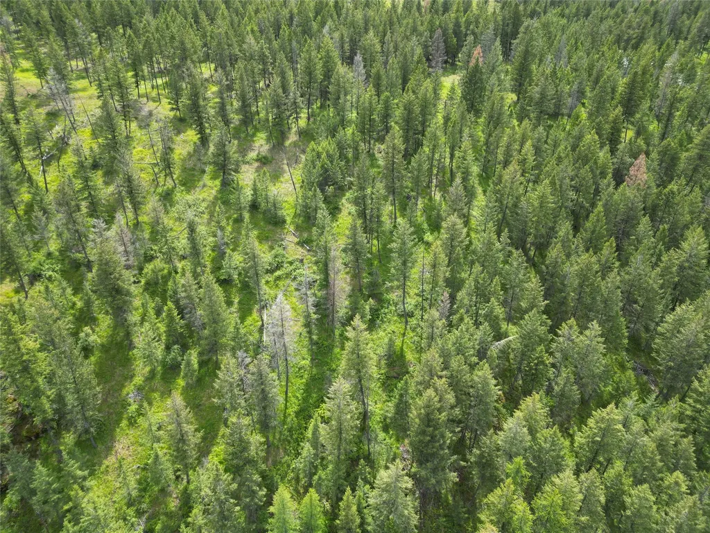 Nhn Black Lake Road Rexford MT 59930