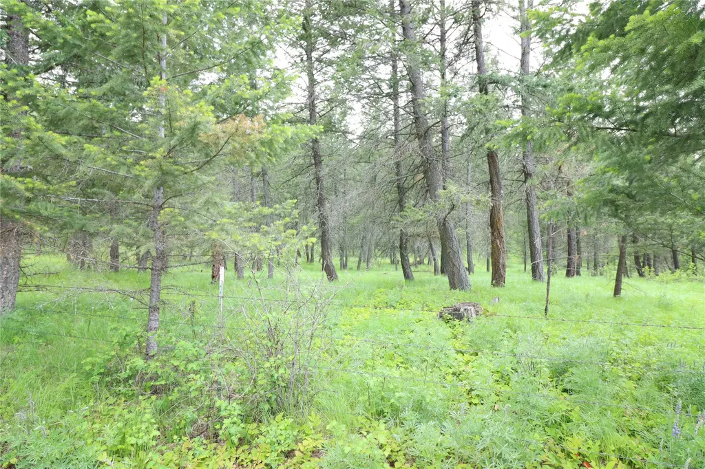 Nhn Black Lake Road Rexford MT 59930