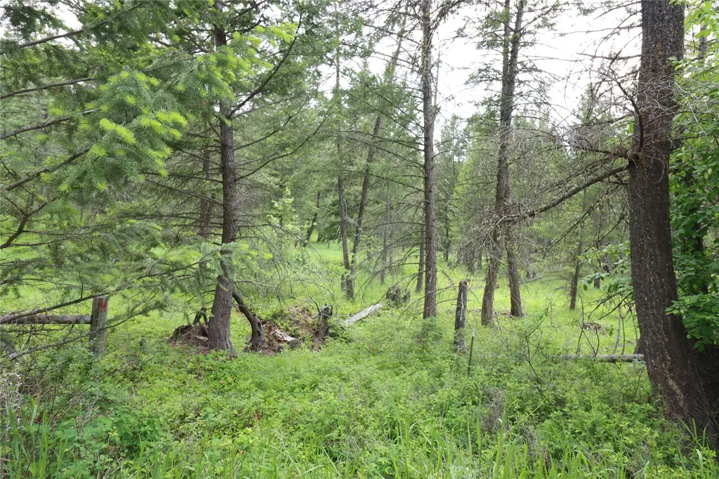 Nhn Black Lake Road Rexford MT 59930