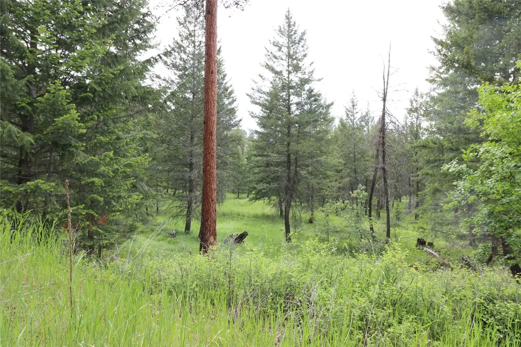 Nhn Black Lake Road Rexford MT 59930