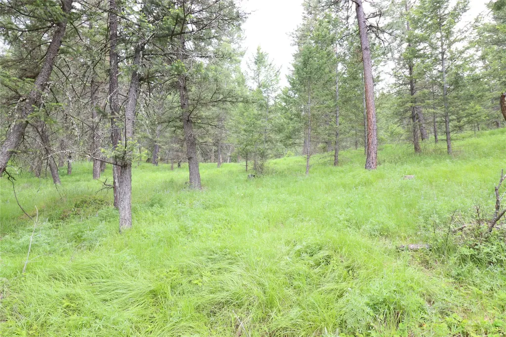 Nhn Black Lake Road Rexford MT 59930