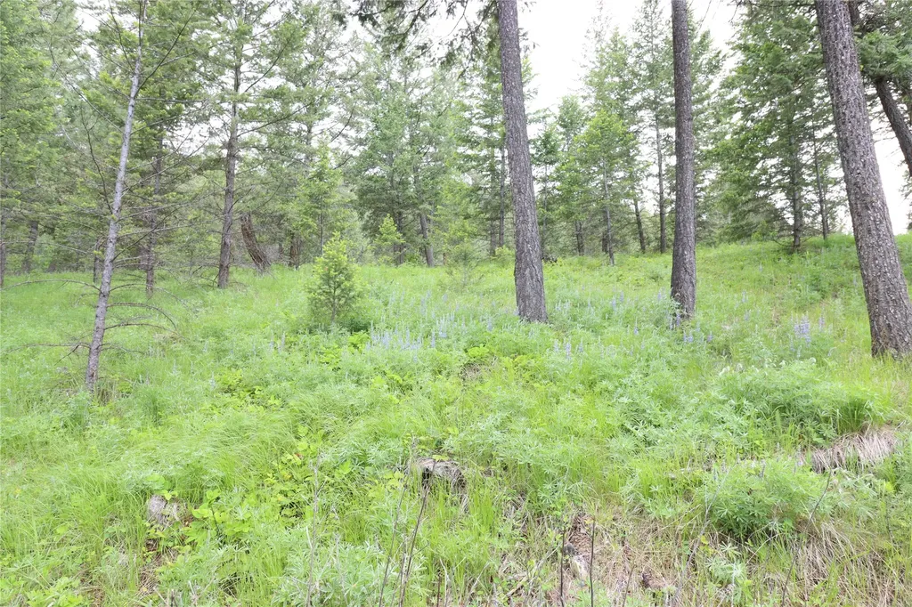 Nhn Black Lake Road Rexford MT 59930