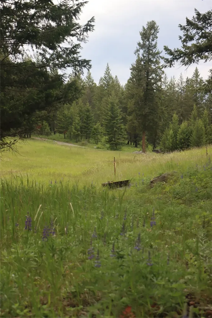 Nhn Black Lake Road Rexford MT 59930