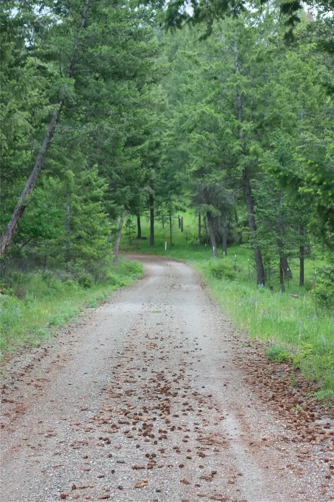 Nhn Black Lake Road Rexford MT 59930