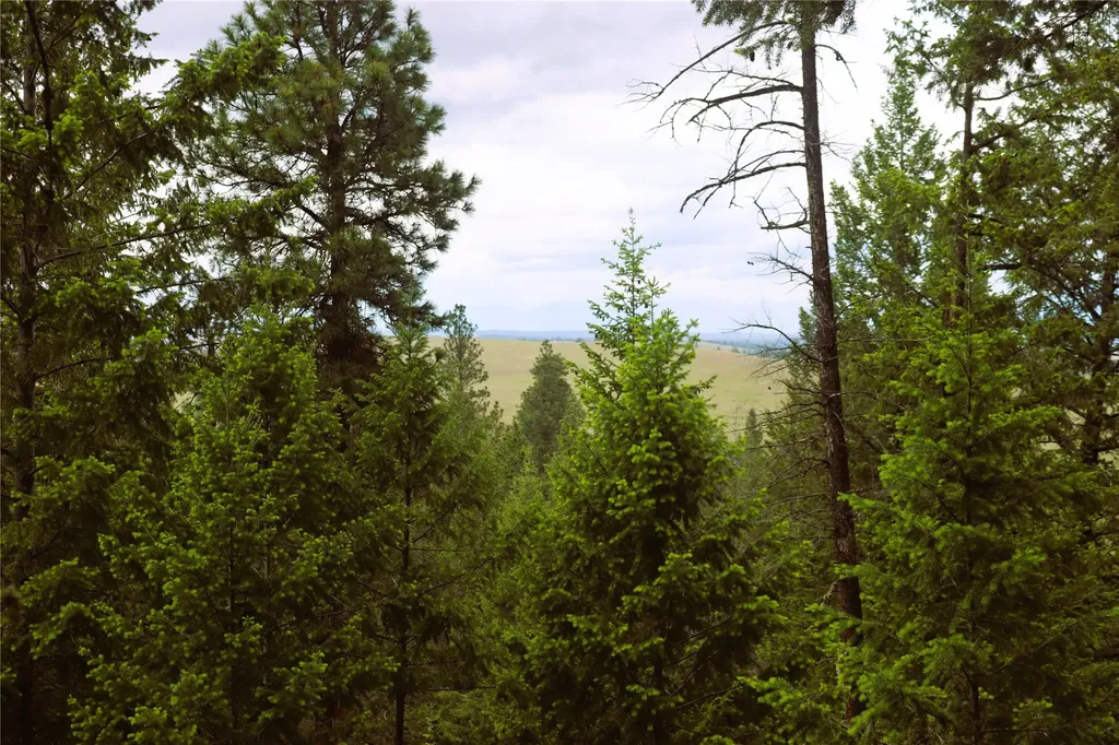 Nhn Black Lake Road Rexford MT 59930
