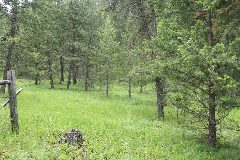 Nhn Black Lake Road Rexford MT 59930