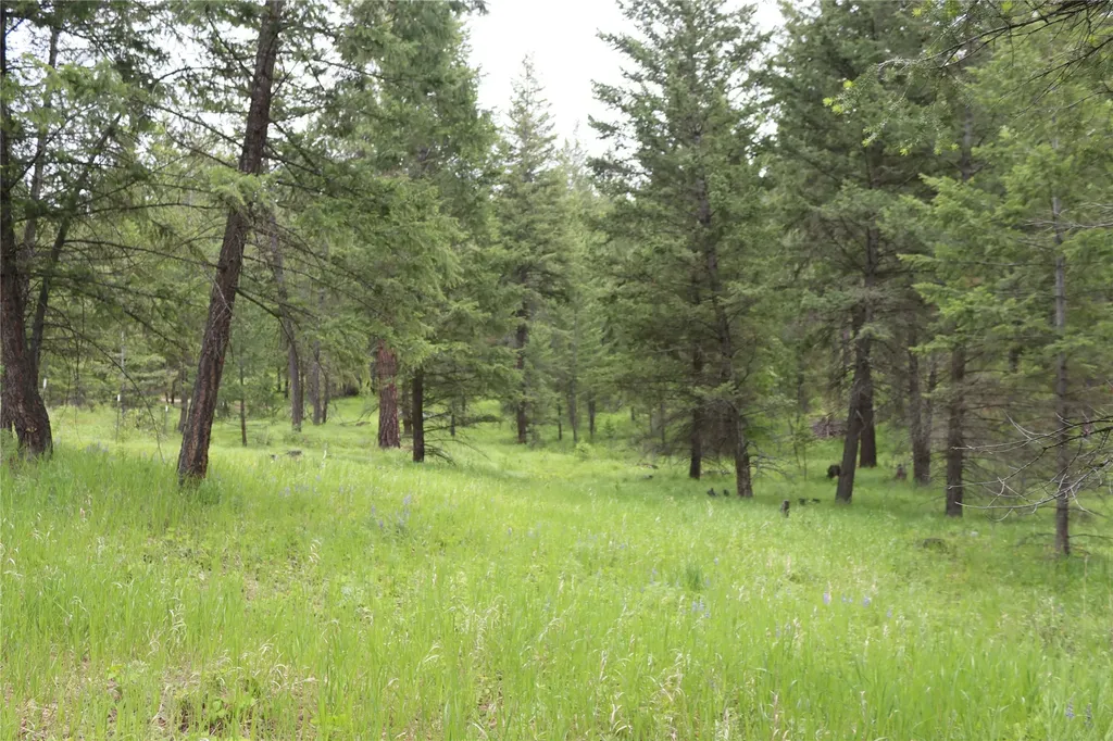 Nhn Black Lake Road Rexford MT 59930