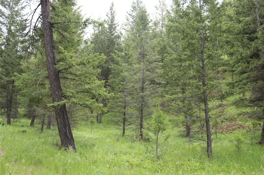 Nhn Black Lake Road Rexford MT 59930
