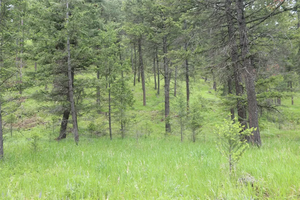 Nhn Black Lake Road Rexford MT 59930