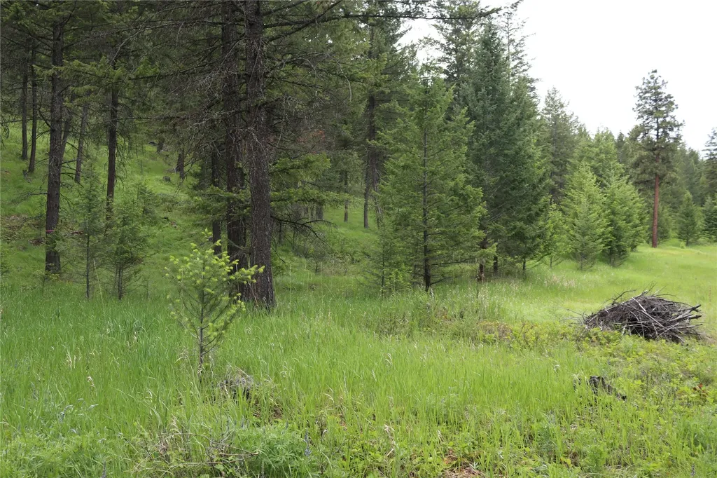 Nhn Black Lake Road Rexford MT 59930