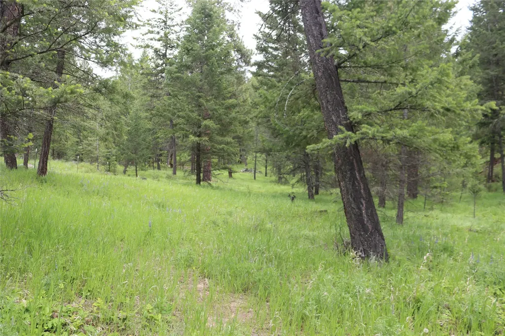 Nhn Black Lake Road Rexford MT 59930