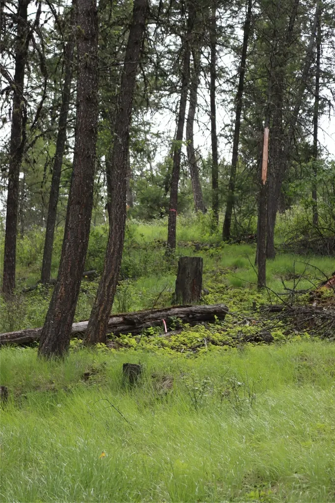 Nhn Black Lake Road Rexford MT 59930