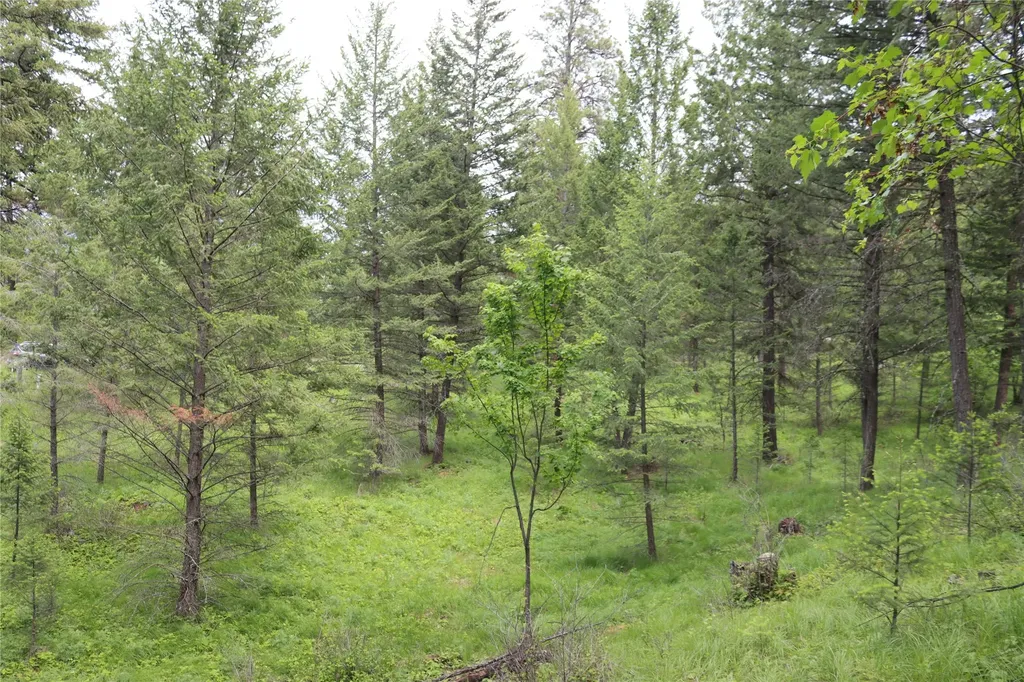 Nhn Black Lake Road Rexford MT 59930