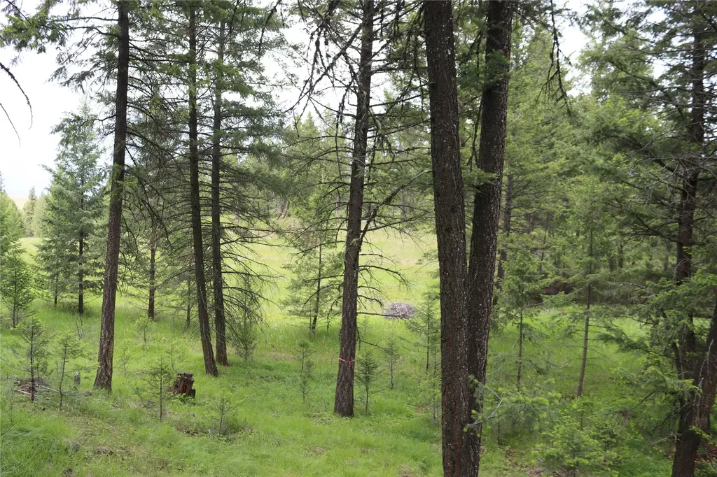 Nhn Black Lake Road Rexford MT 59930