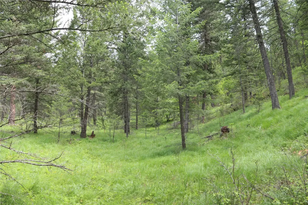 Nhn Black Lake Road Rexford MT 59930