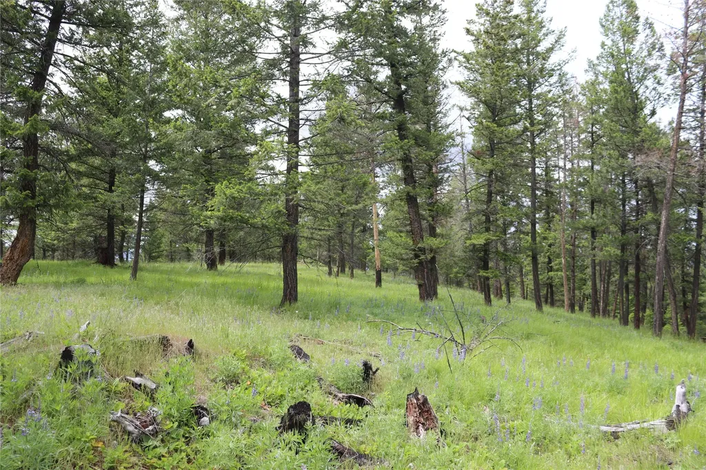 Nhn Black Lake Road Rexford MT 59930