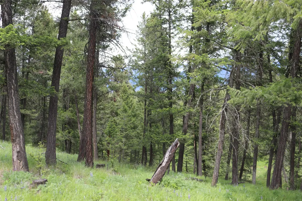 Nhn Black Lake Road Rexford MT 59930