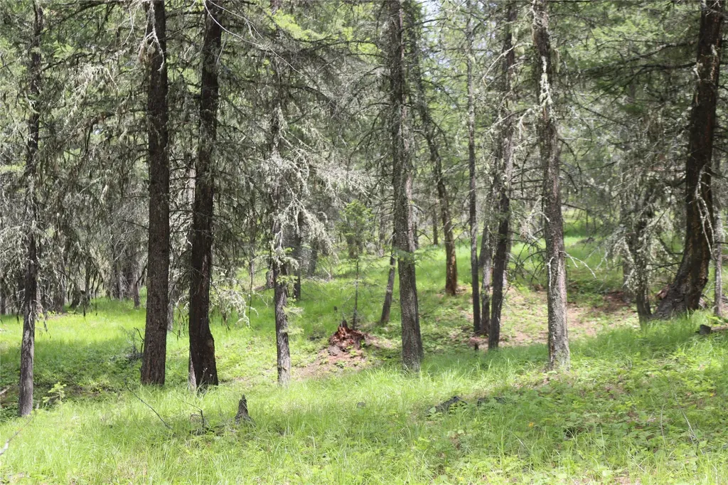 Nhn Black Lake Road Rexford MT 59930