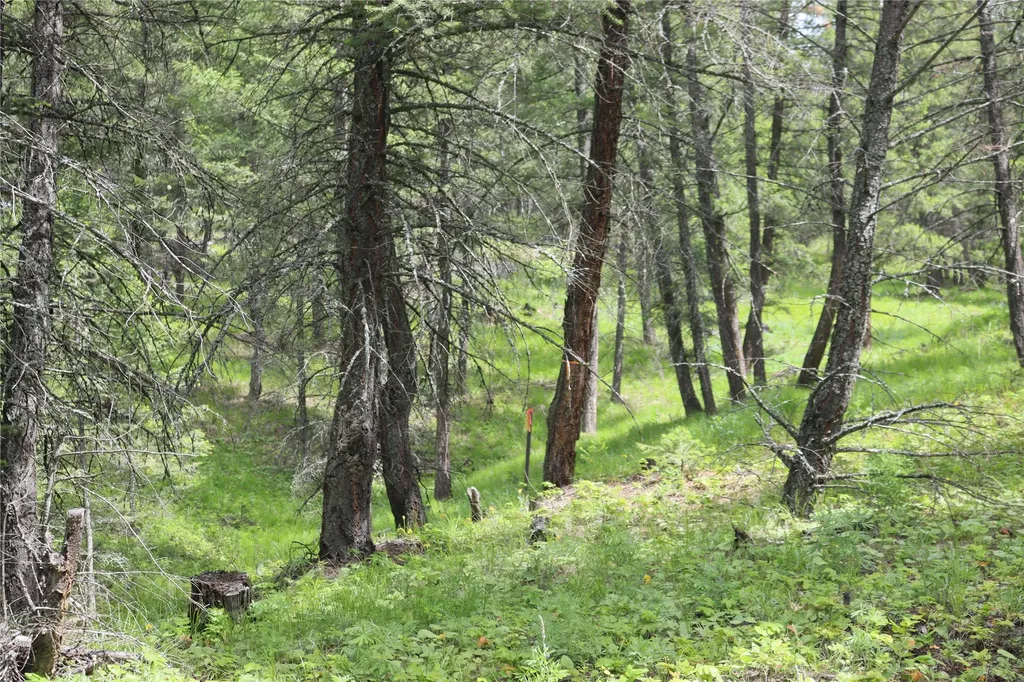 Nhn Black Lake Road Rexford MT 59930