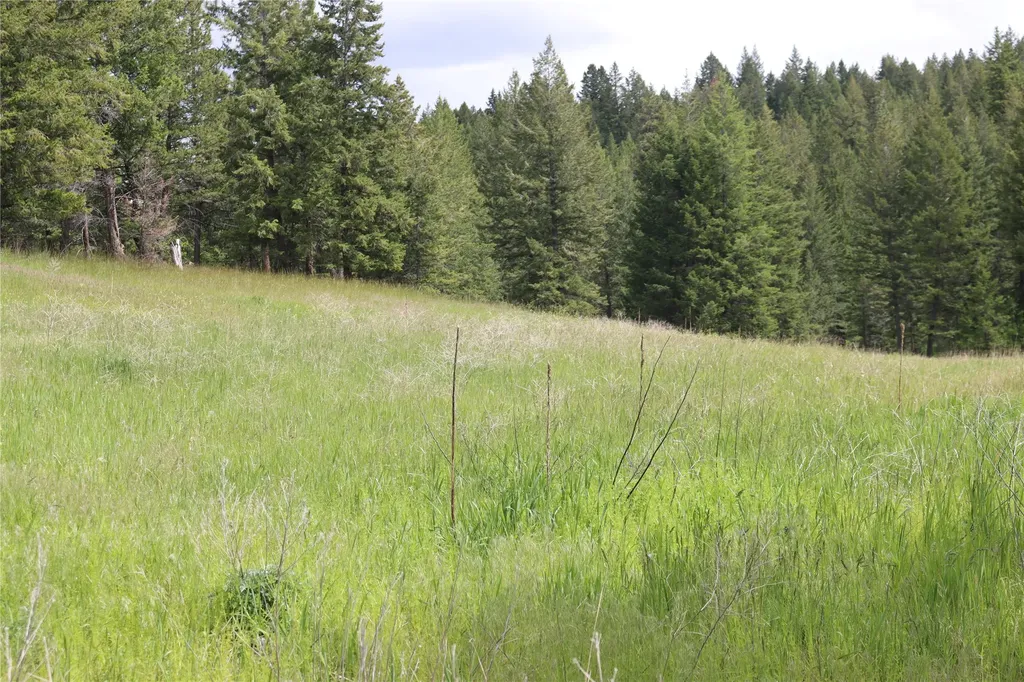 Nhn Black Lake Road Rexford MT 59930
