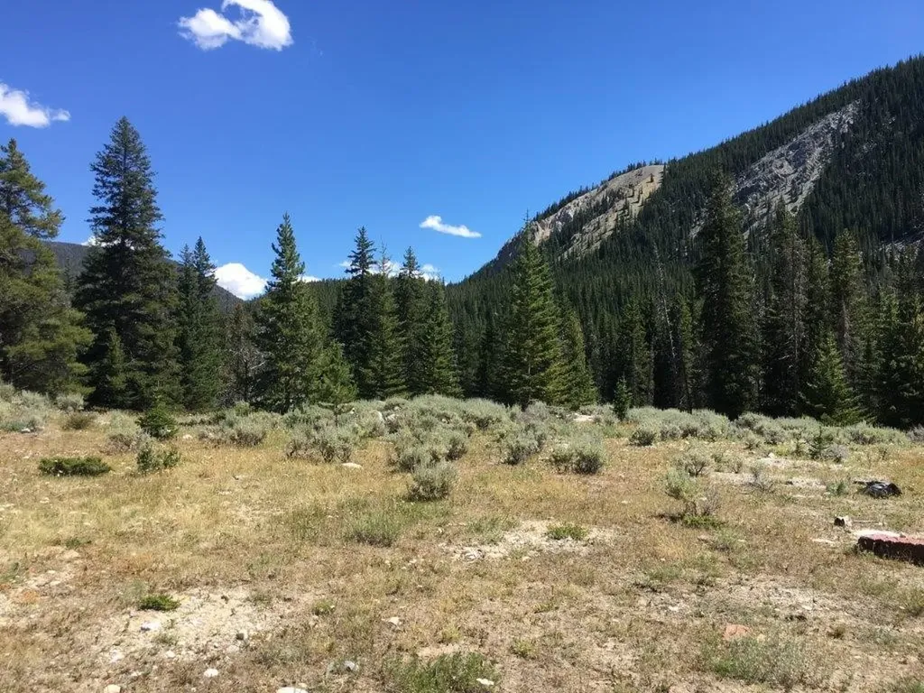 216 Trapper Creek Road Dillon MT 59725