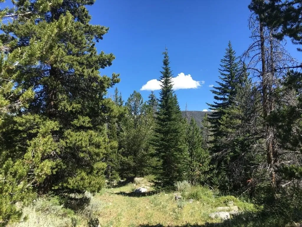 216 Trapper Creek Road Dillon MT 59725