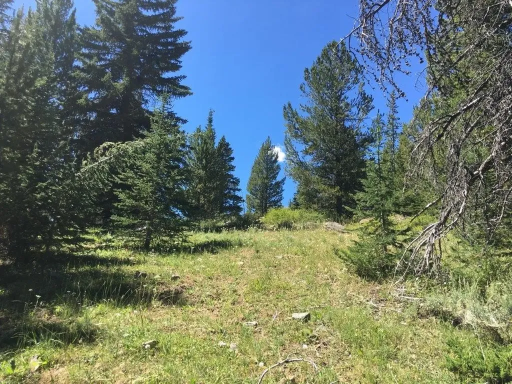 216 Trapper Creek Road Dillon MT 59725
