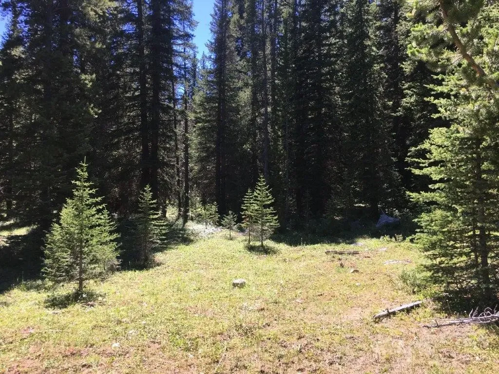 216 Trapper Creek Road Dillon MT 59725
