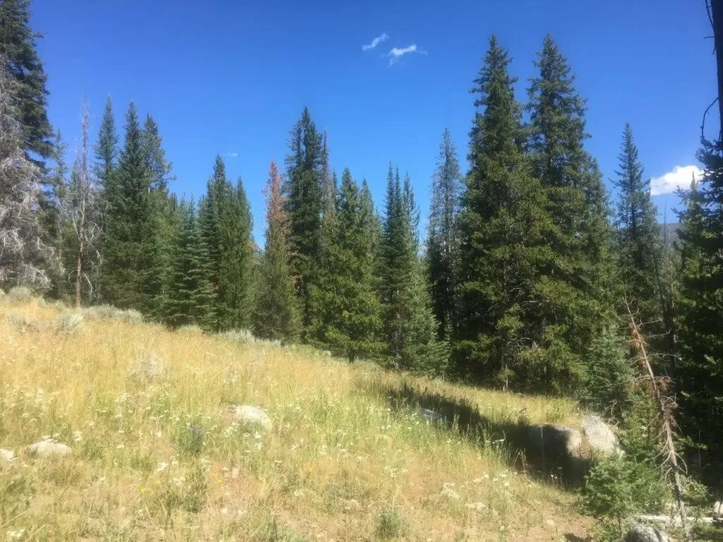 216 Trapper Creek Road Dillon MT 59725