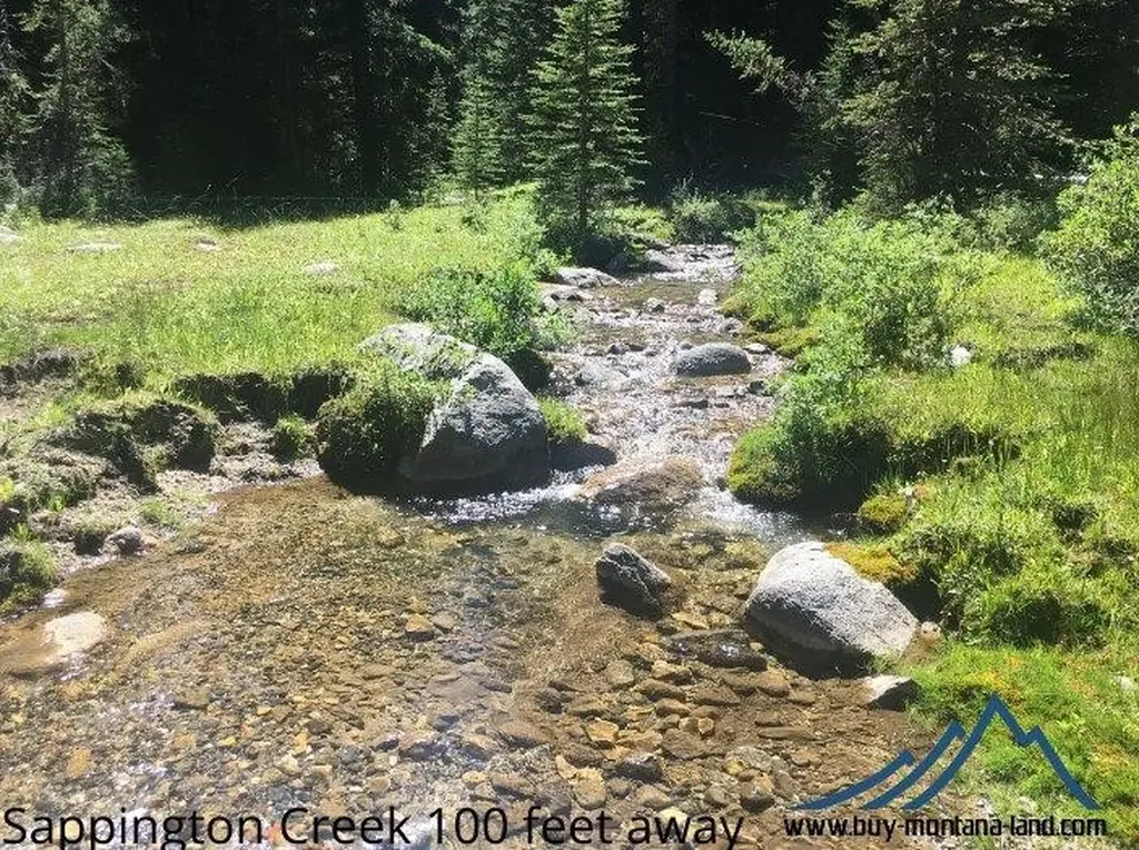 216 Trapper Creek Road Dillon MT 59725
