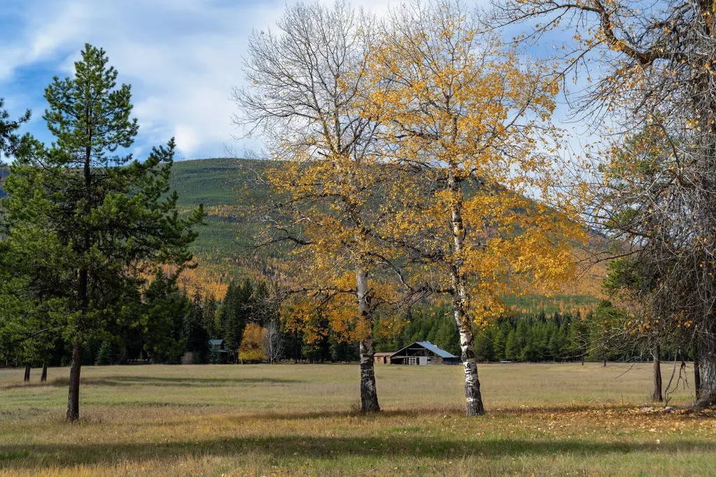 8500 North Fork Road Polebridge MT 59928