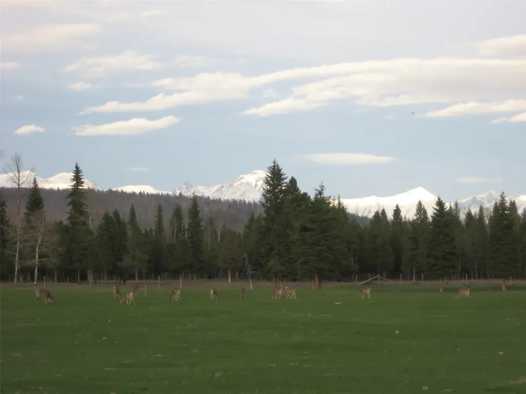 8500 North Fork Road Polebridge MT 59928