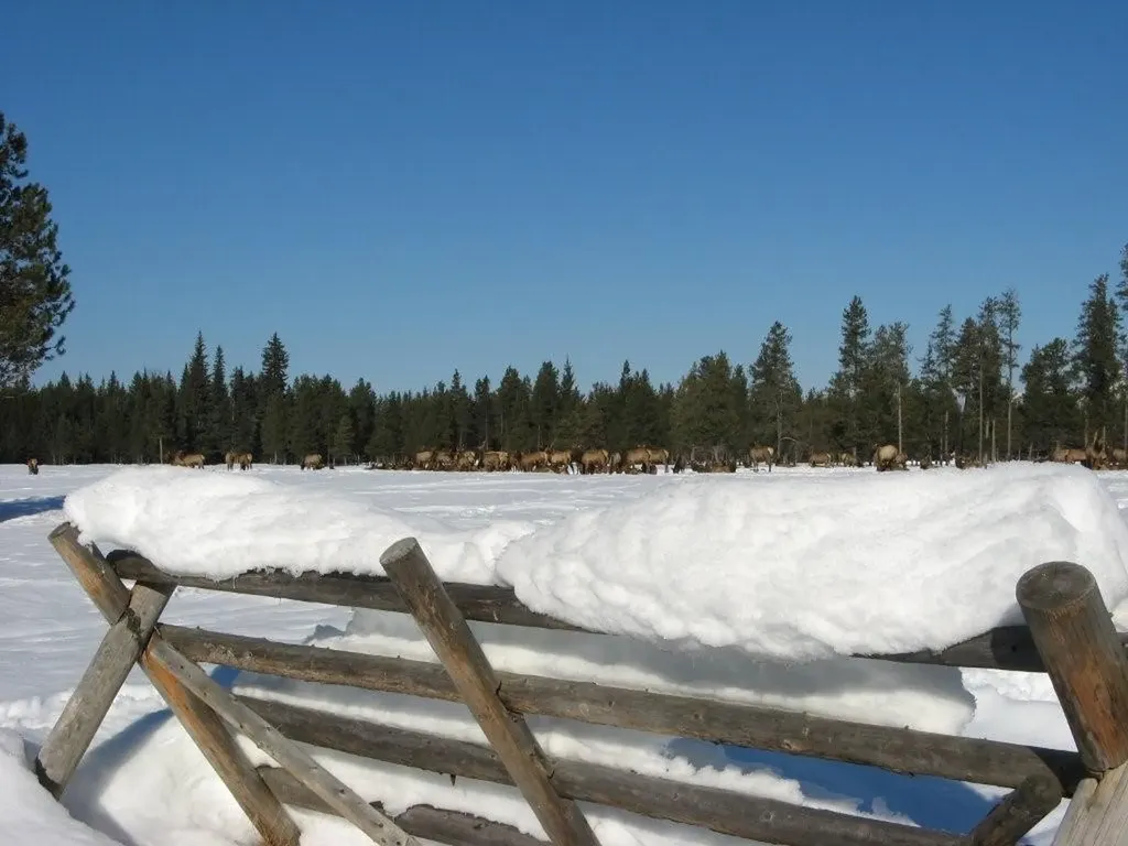 8500 North Fork Road Polebridge MT 59928