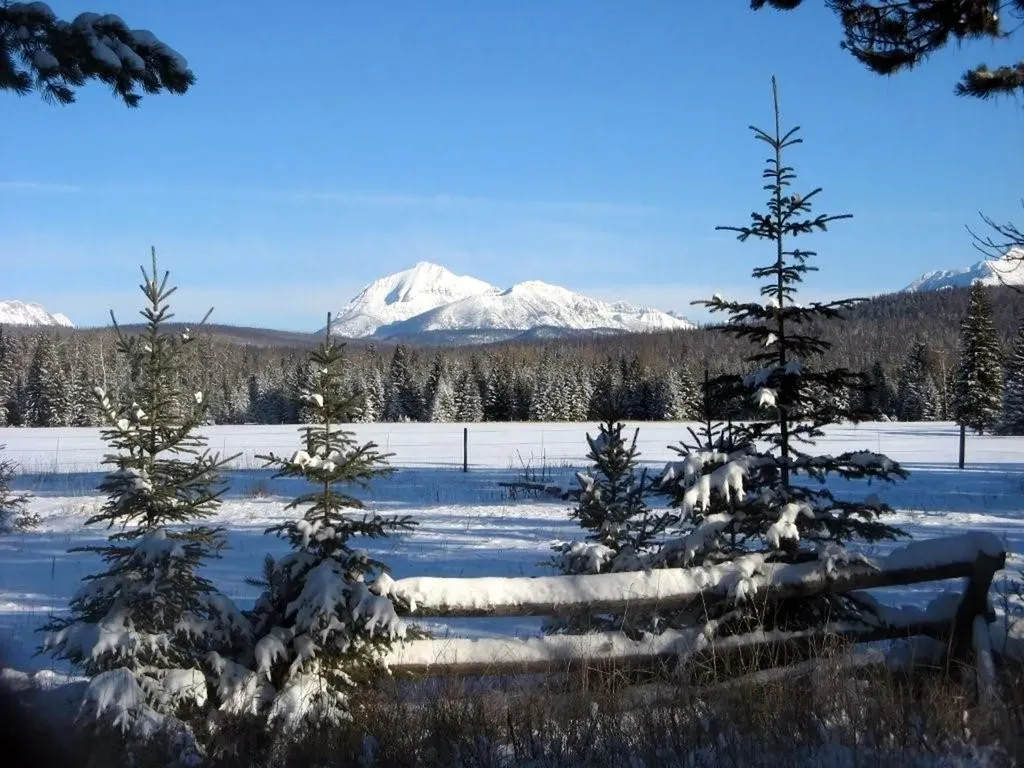 8500 North Fork Road Polebridge MT 59928