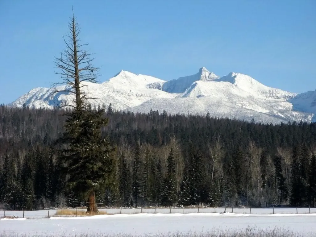 8500 North Fork Road Polebridge MT 59928