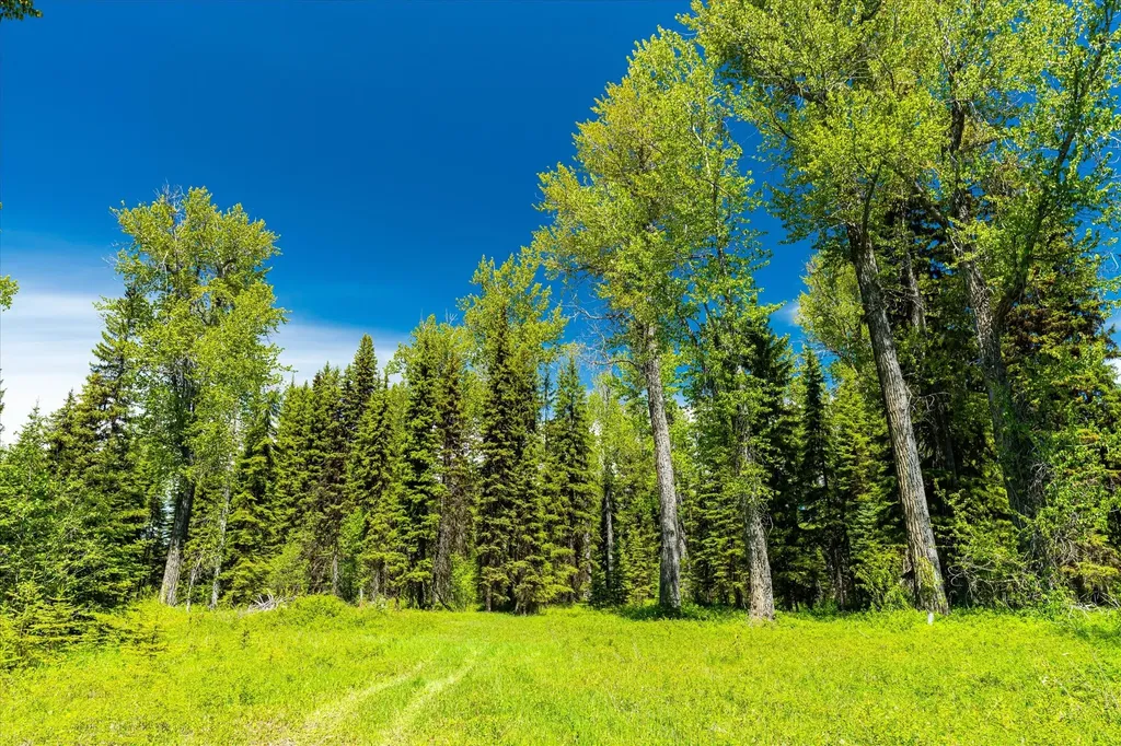 8500 North Fork Road Polebridge MT 59928